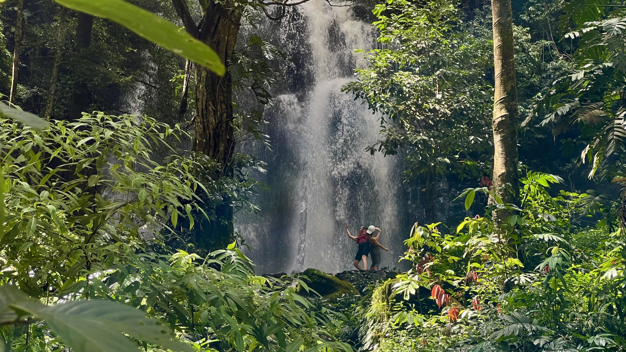 Xishuangbanna rainforest landscape in Yunnan China for Root Living mindful lifestyle experiences